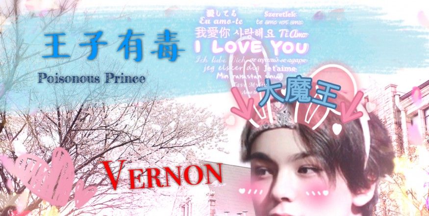 SEVENTEEN Vernon 王子有毒 | Penana